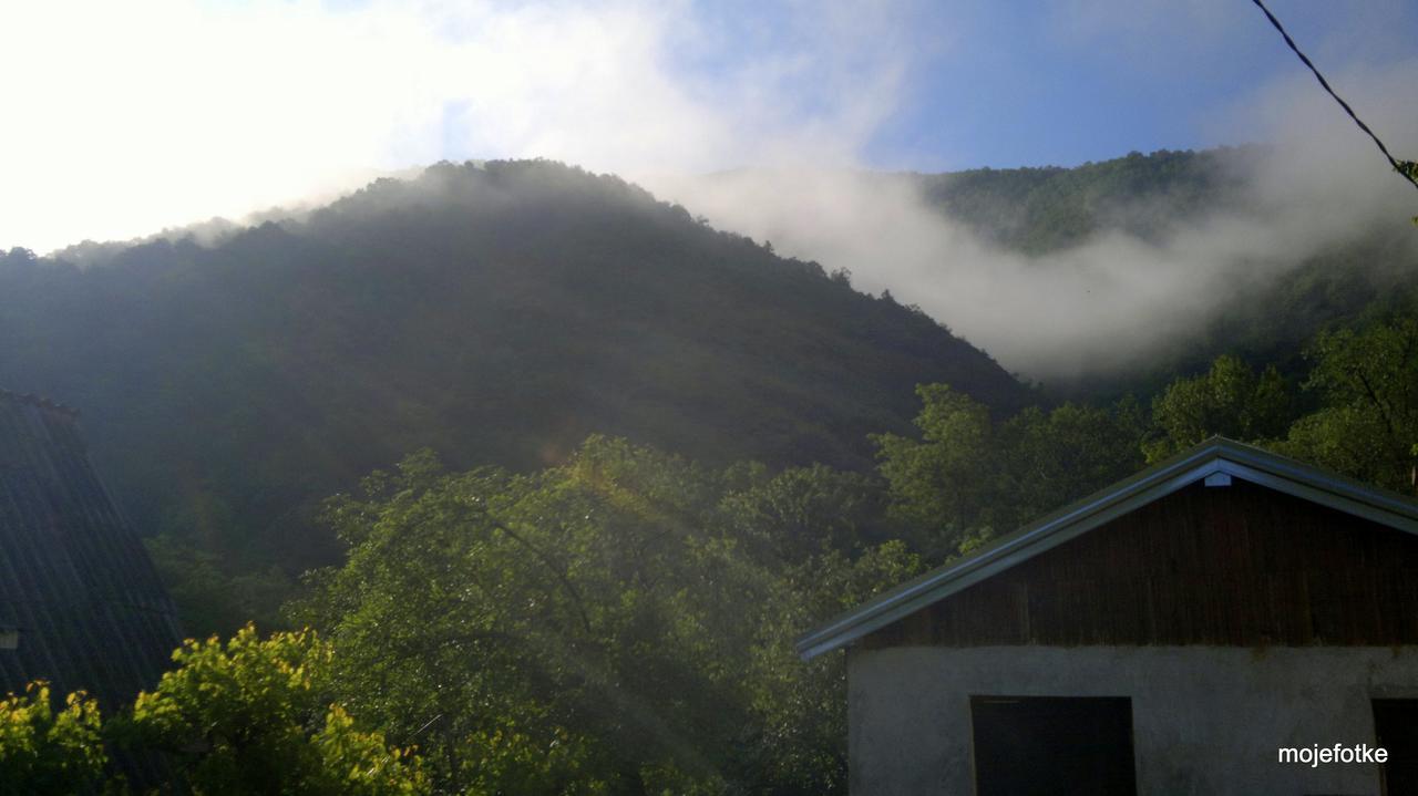 Biosphere Reserve Hostel Bogutovac Exterior foto